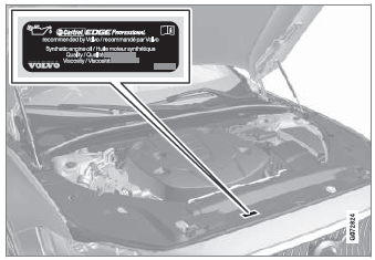 Volvo XC90. Engine oil